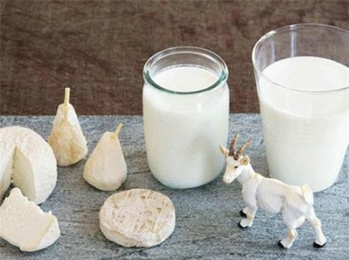 中国十大羊奶粉品牌排行榜